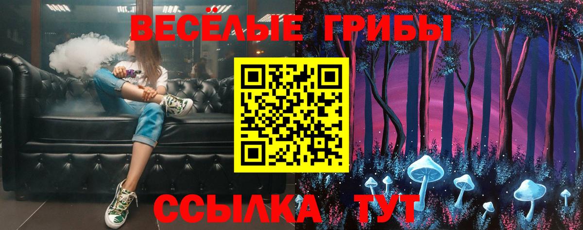 Сланцы  Псилоцибиновые грибы ЛСД  Вход с VPN 